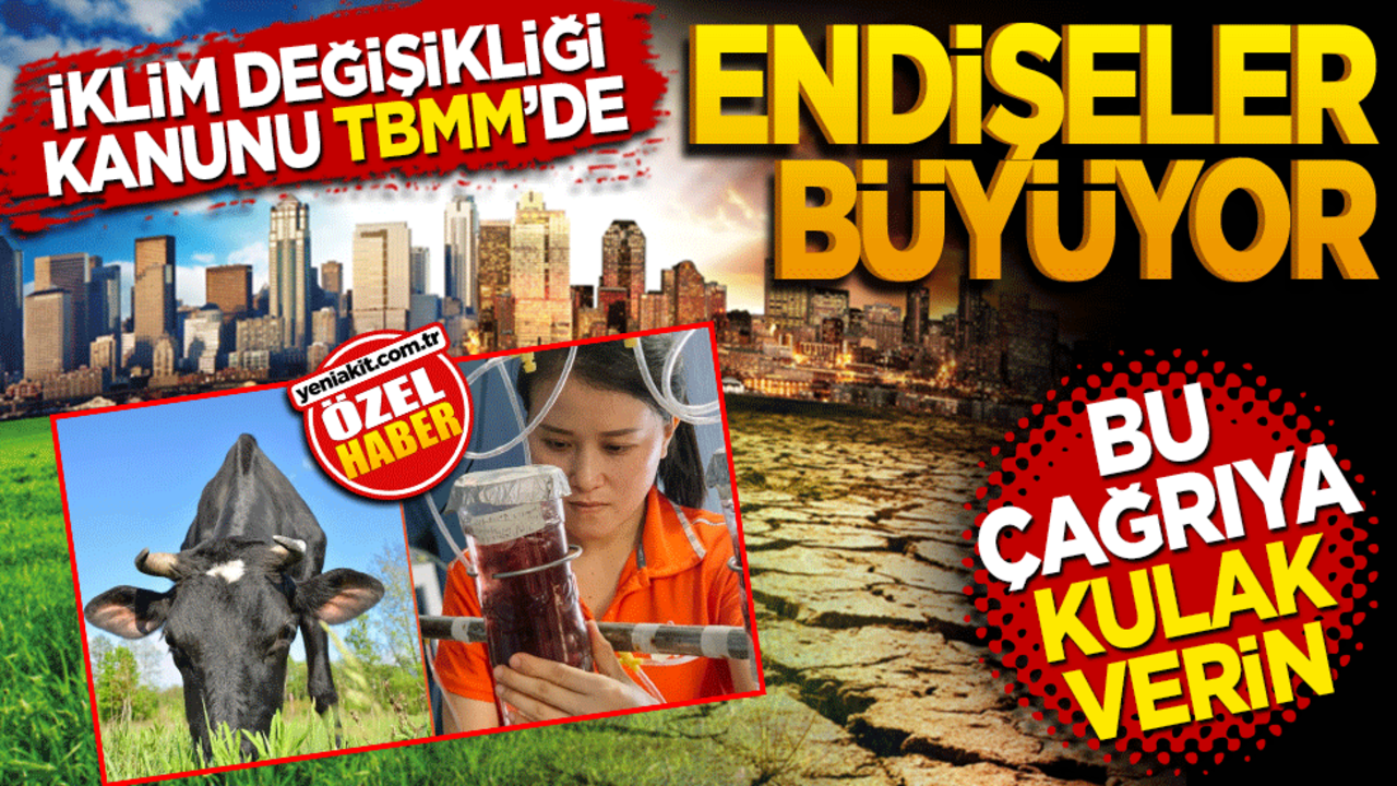 İklim Değişikliği Kanunu TBMM'de! Endişeler Büyüyor: Bu Çağrıya Kulak Verin