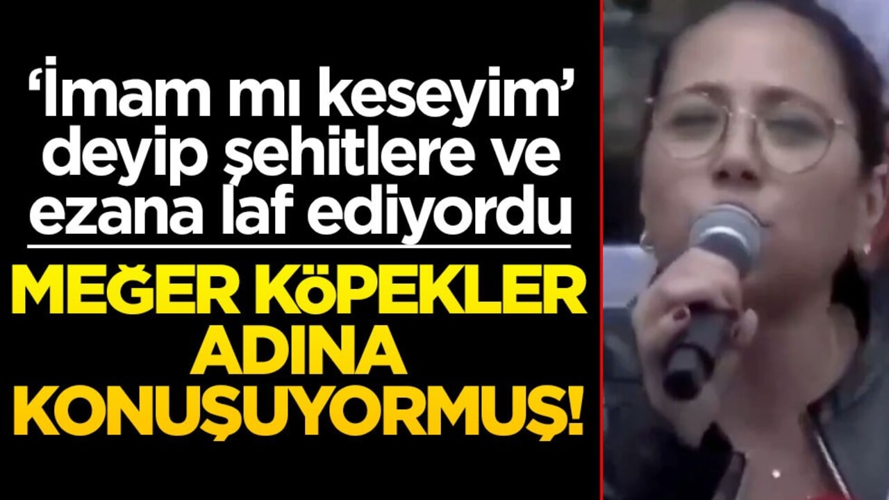 "İmam mı keseyim" diye tehditler savuruyordu... Zeka seviyesini bir kez daha ortaya koydu: Bütün köpekler adına sesleniyorum