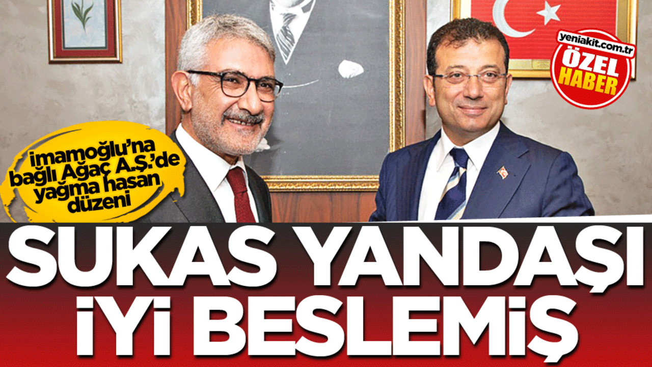 İmamoğlu’na bağlı Ağaç A.Ş.’de yağma hasan düzeni! SUKAS yandaşı iyi beslemiş