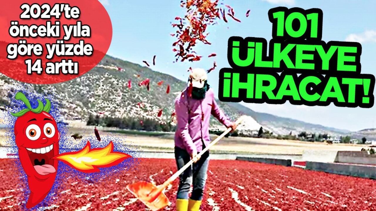 İngiltere dahil 101 ülkeye pul biber ihraç edildi: Avrupa'da 1 numara: 13 milyon 940 bin dolar