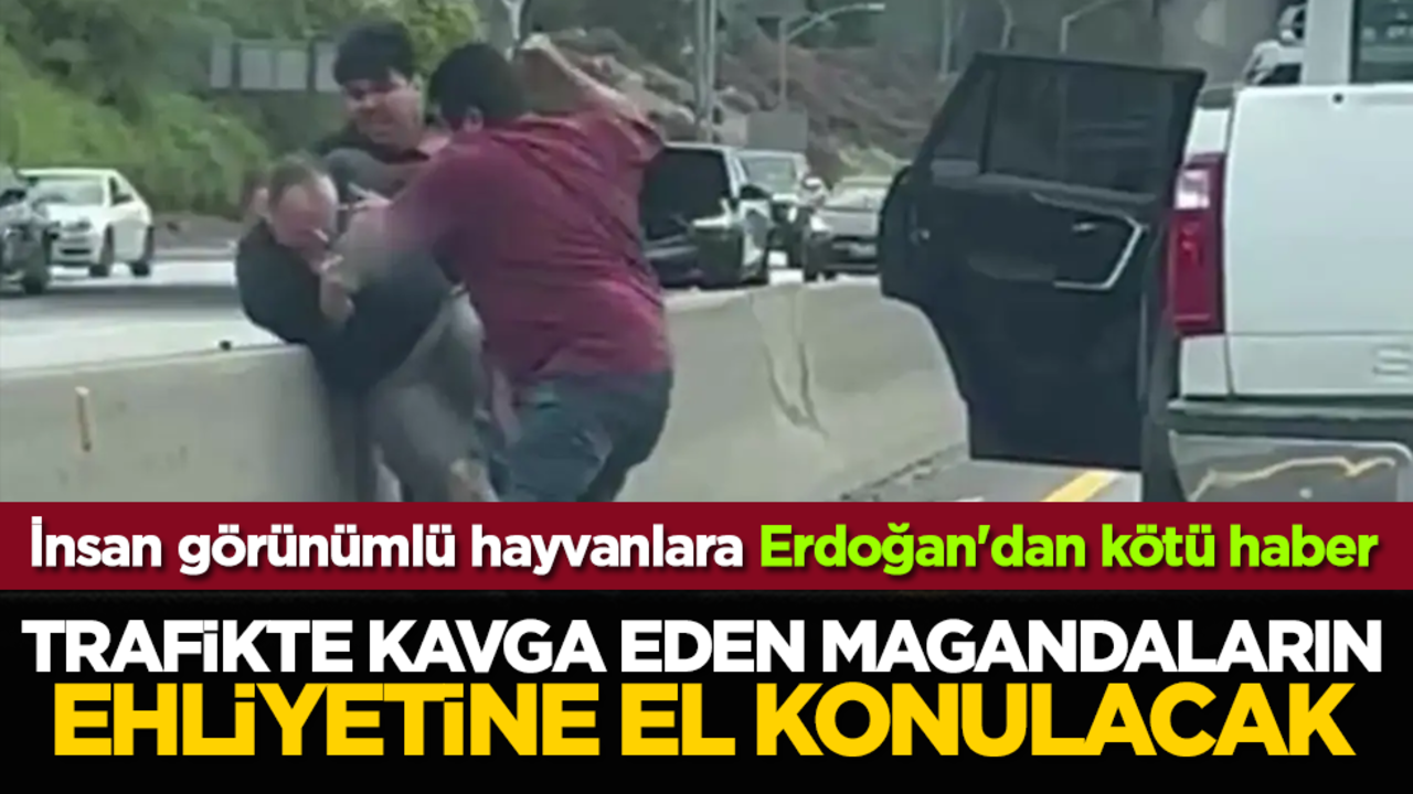 İnsan görünümlü hayvanlara Erdoğan'dan kötü haber: Trafikte kavga eden magandaların ehliyetine el konulacak