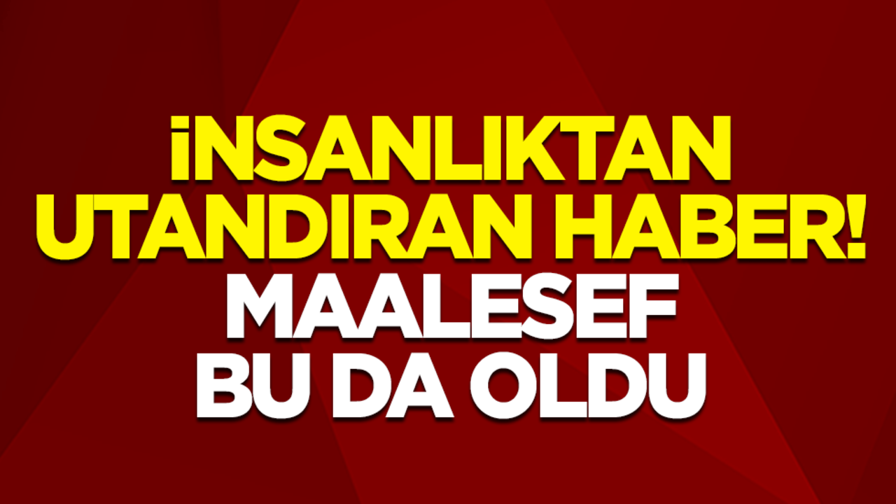 İnsanlıktan utandıran haber! Maalesef bu da oldu