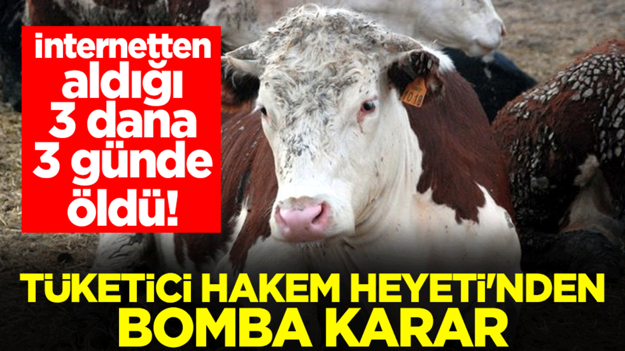 İnternetten aldığı 3 dana 3 günde öldü! Tüketici Hakem Heyeti'nden bomba karar