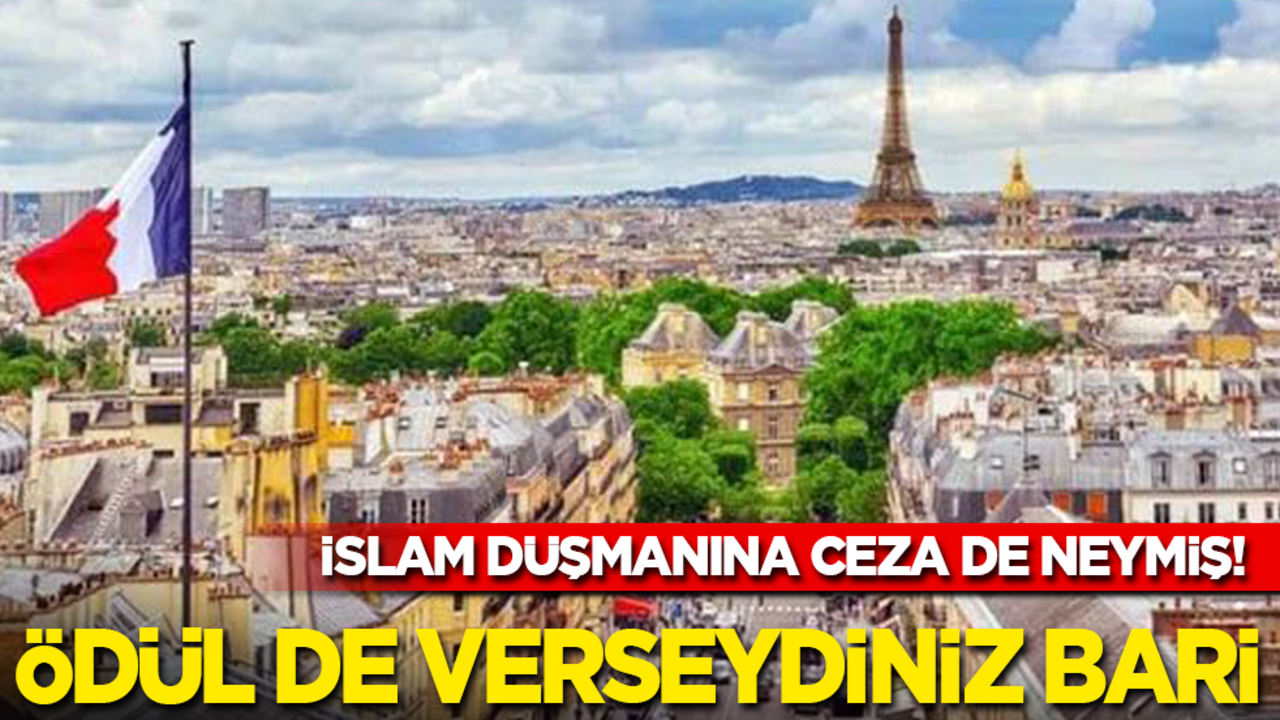 İslam düşmanına ceza da neymiş! Ödül de verseydiniz bari