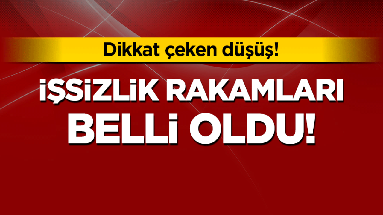 İşsizlik rakamları belli oldu!