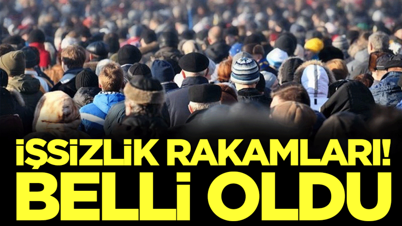 İşsizlik rakamları belli oldu!