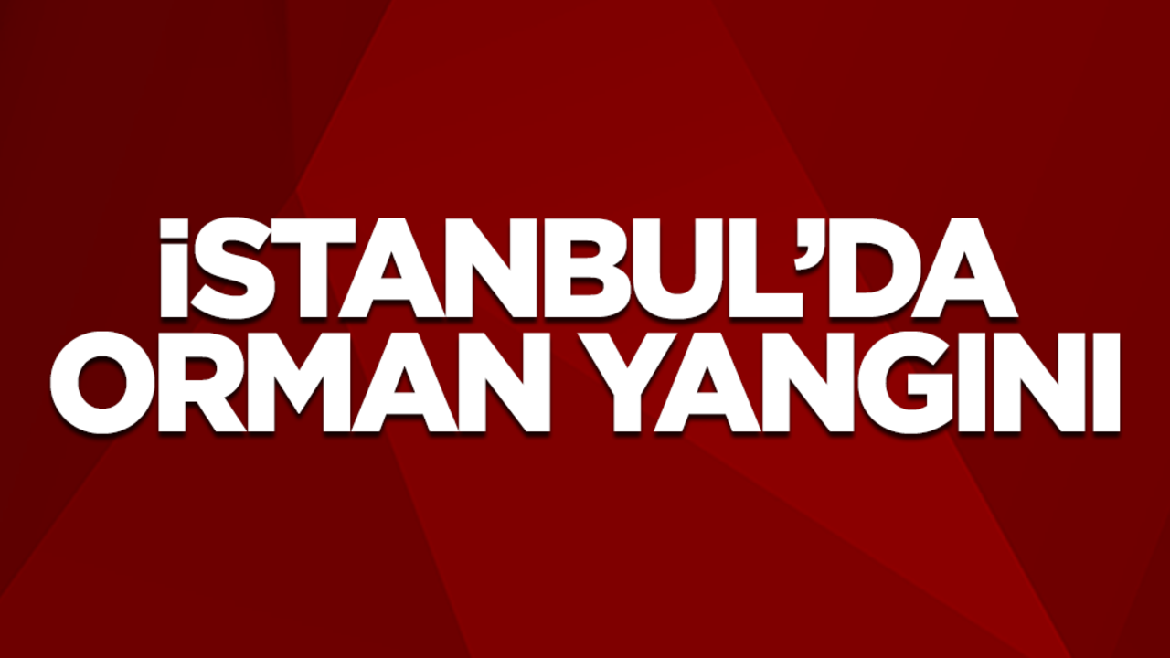 İstanbul Aydos Ormanı'nda yangın