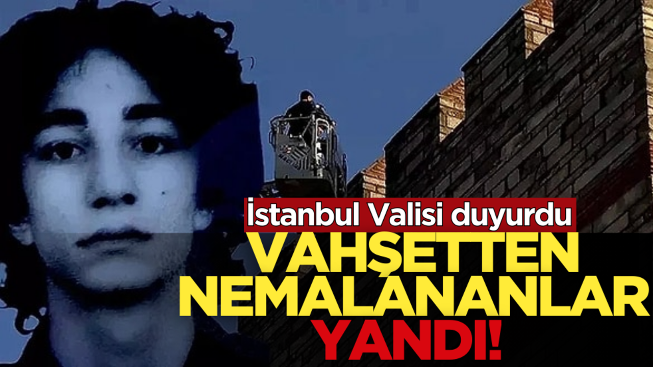 İstanbul Valisi duyurdu! Vahşetten nemalananlar yandı