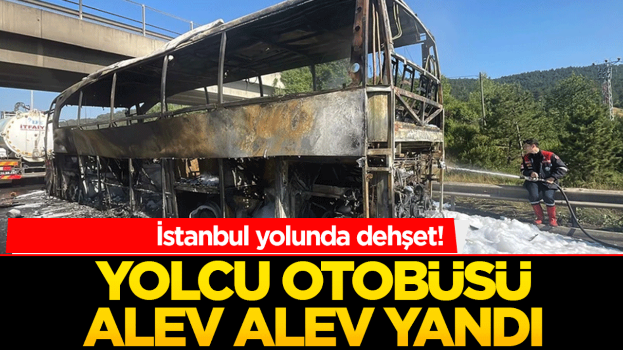 İstanbul yolunda dehşet! Yolcu otobüsü alev alev yandı