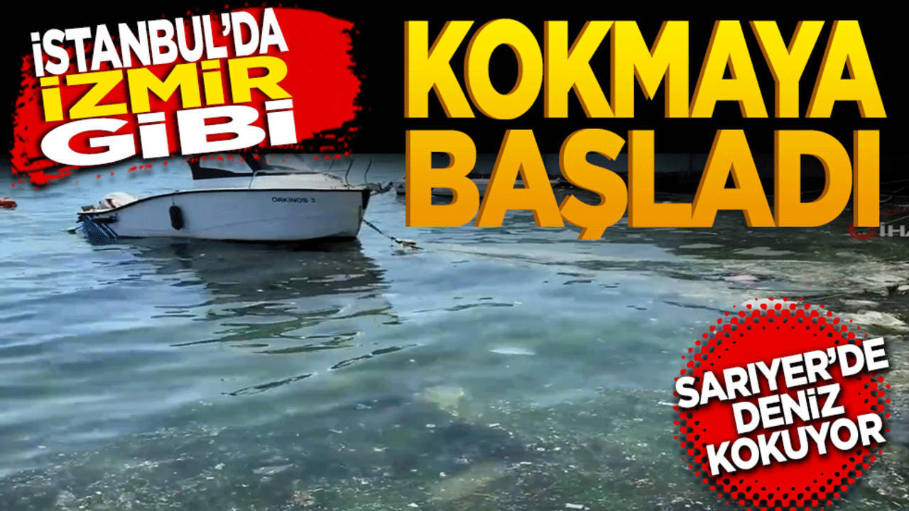 İstanbul’da İzmir gibi kokmaya başladı! Sarıyer’de deniz kokuyor