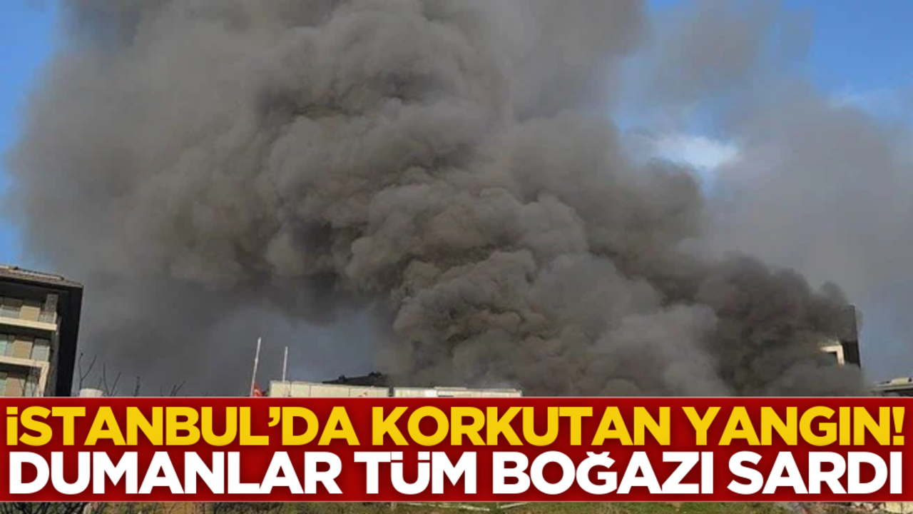 İstanbul’da korkunç yangın! Dumanlar boğazı sardı