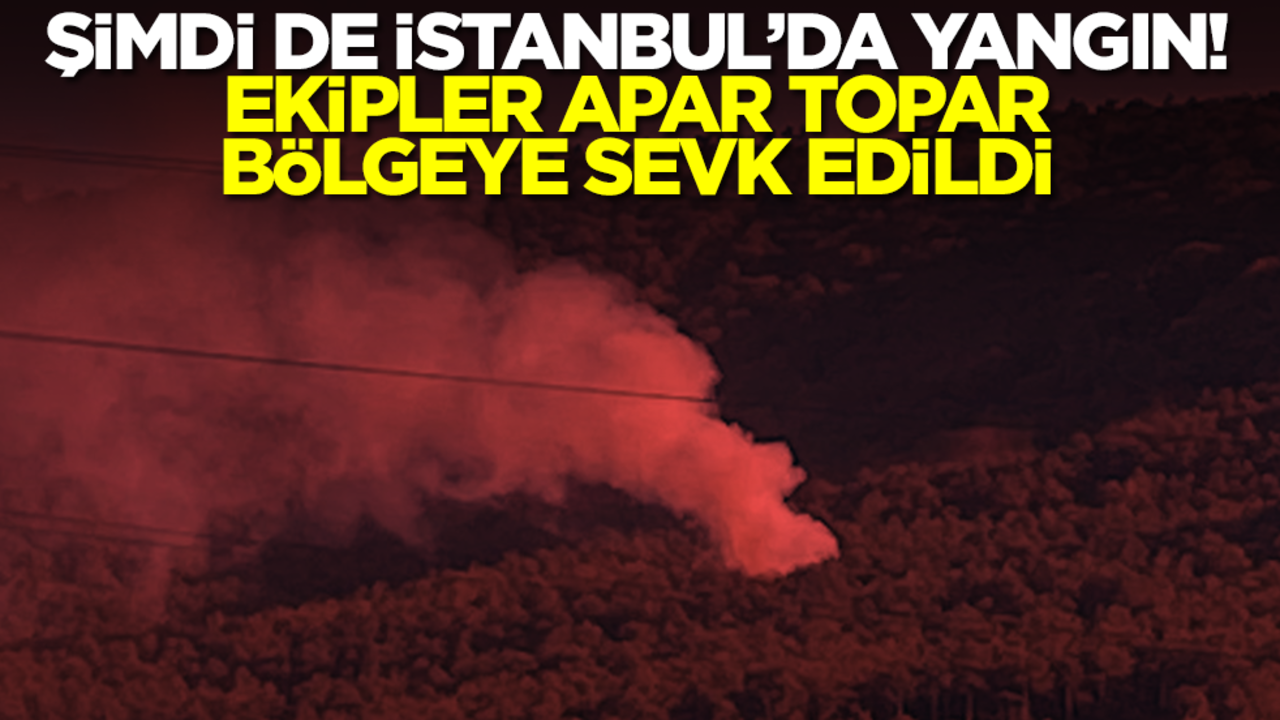 İstanbul'da yangın! Ekipler apar topar bölgeye sevk edildi