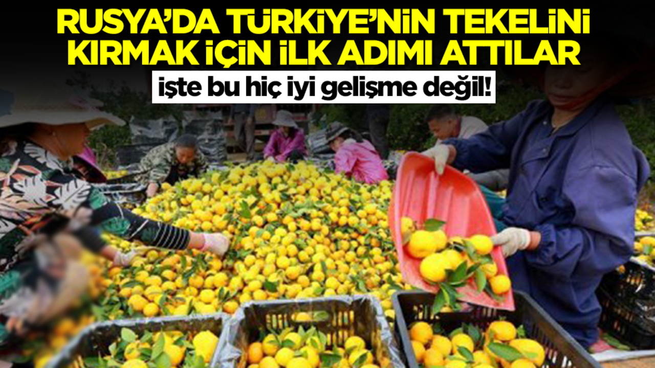 İşte bu hiç iyi gelişme değil! Rusya'da Türkiye'nin tekelini kırmak için ilk adımı attılar