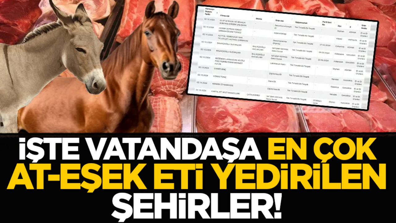 İşte vatandaşa en çok at-eşek eti yedirilen şehirler!