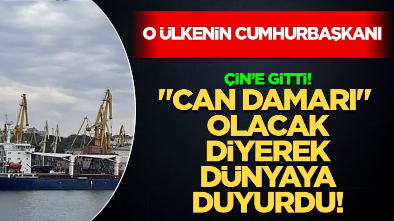 İstifa kararı ile sarsılan Sırbistan Cumhurbaşkanı Çin'de! Tuna Koridoru açıldı