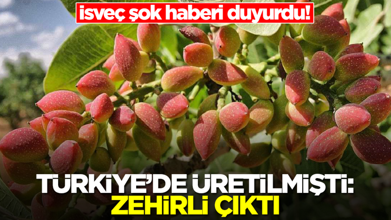 İsveç şok haberi duyurdu! Türkiye'de üretilmişti: Zehirli çıktı