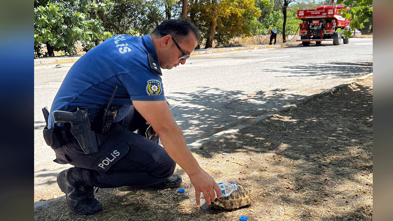 İyi ki Türk polisi var! Alevlerin arasından kurtardığı kaplumbağaya can suyu!