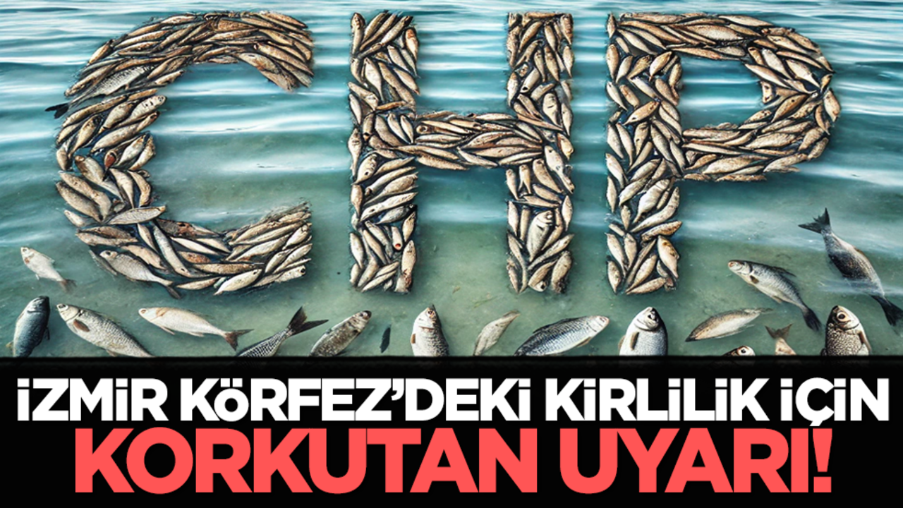 İzmir Körfez’deki kirlilik için korkutan uyarı!
