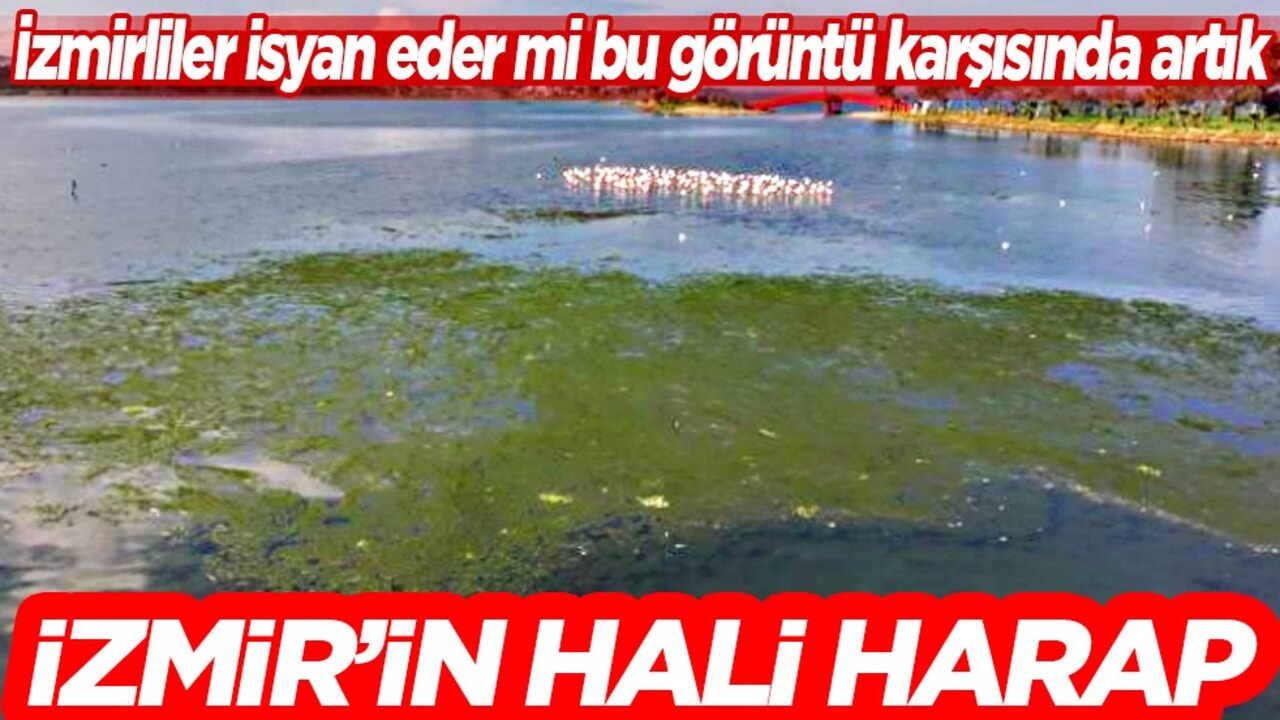 İzmir’de korkutan görüntü! Kendini yenilemesi artık mümkün değil!
