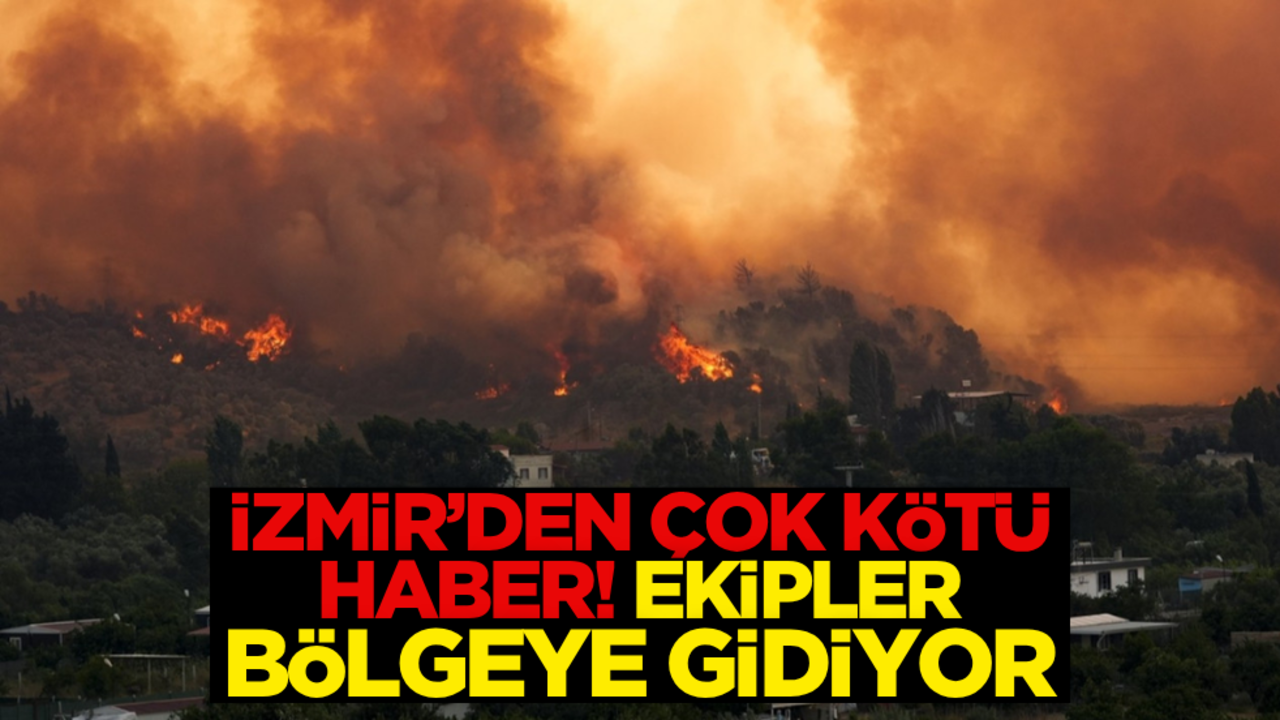 İzmir’de yeniden orman yangını çıktı!