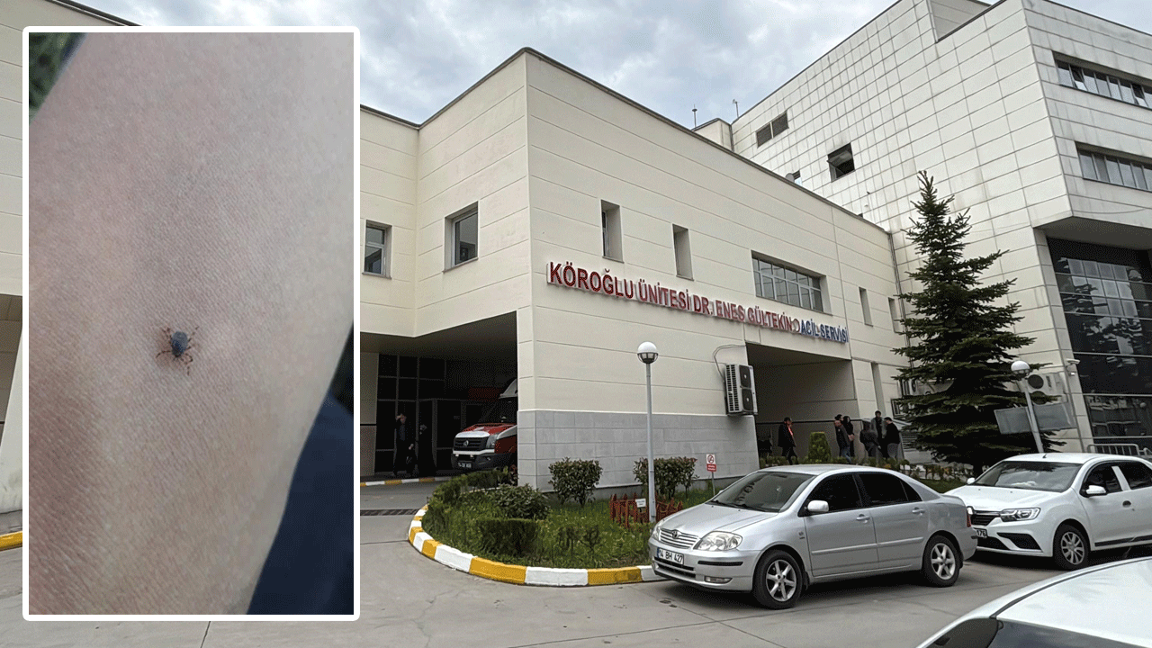 Kabus sürüyor! Kene bir can daha aldı