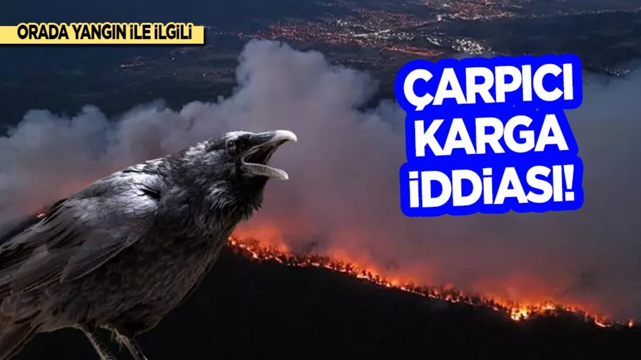 Karabük'te yangın kontrol altında: Çıkış nedeniyle ilgili çarpıcı karga iddiası