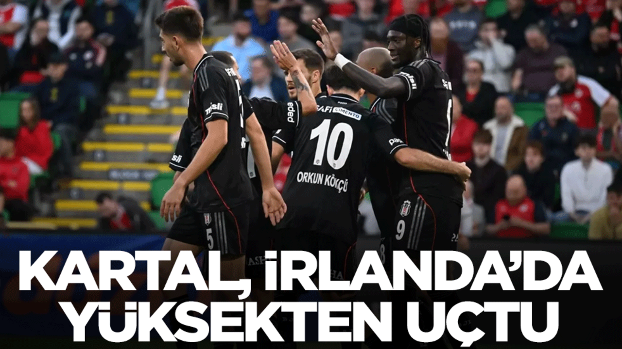 Kartal, İrlanda’da yüksekten uçtu