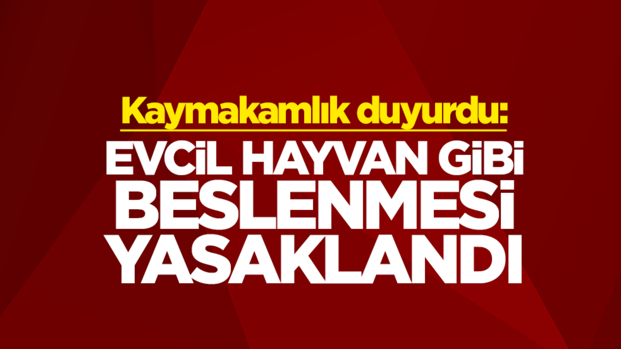 Kaymakamlık duyurdu: Evcil hayvan gibi beslenmesi yasaklandı