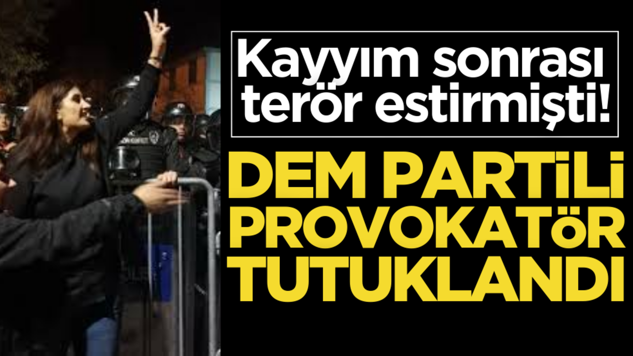 Kayyım sonrası terör estirmişti! DEM Partili provokatör tutuklandı