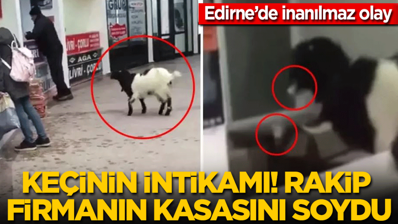 Keçinin intikamı! Rakip firmanın kasasını soydu: Paraları alıp kaçtı