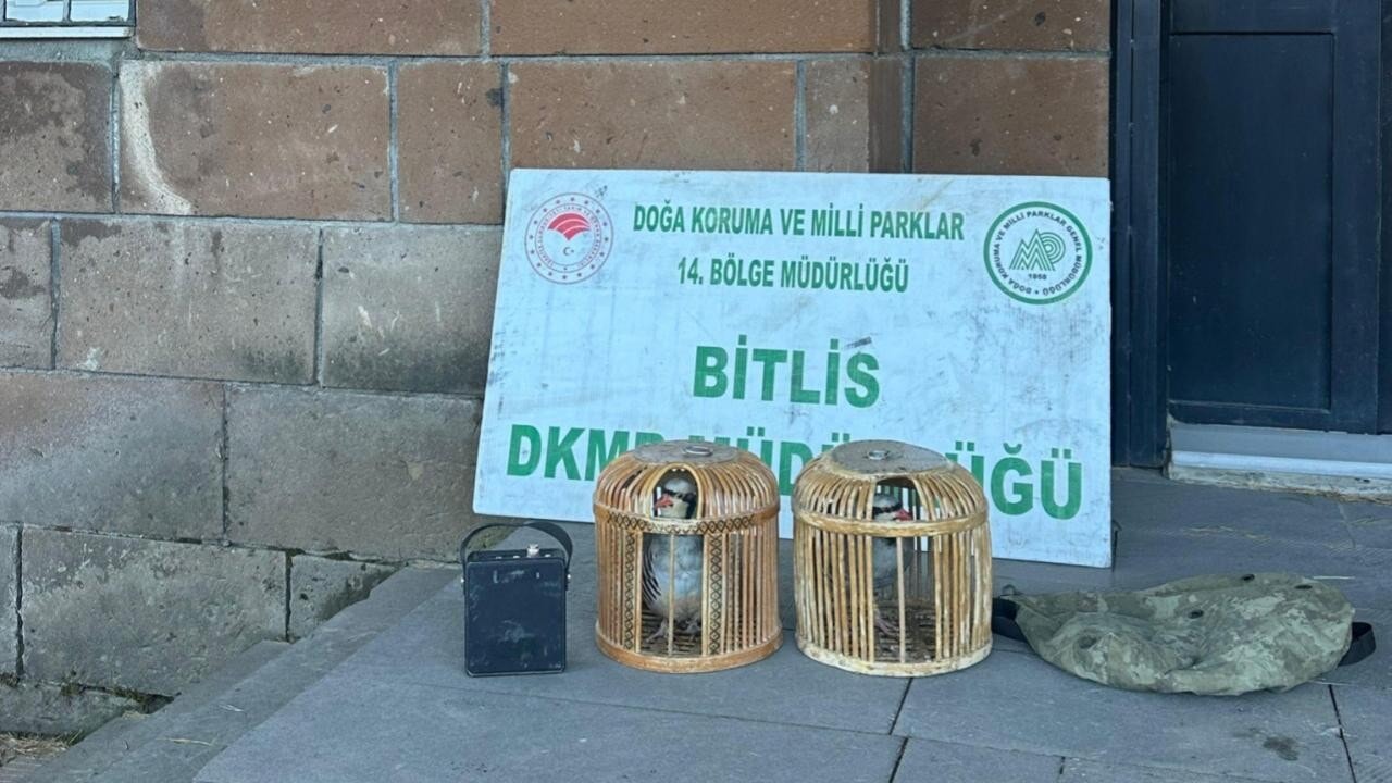 Keklik Avcılarına Ağır Ceza: 101 Bin Lira Para Cezası Kesildi