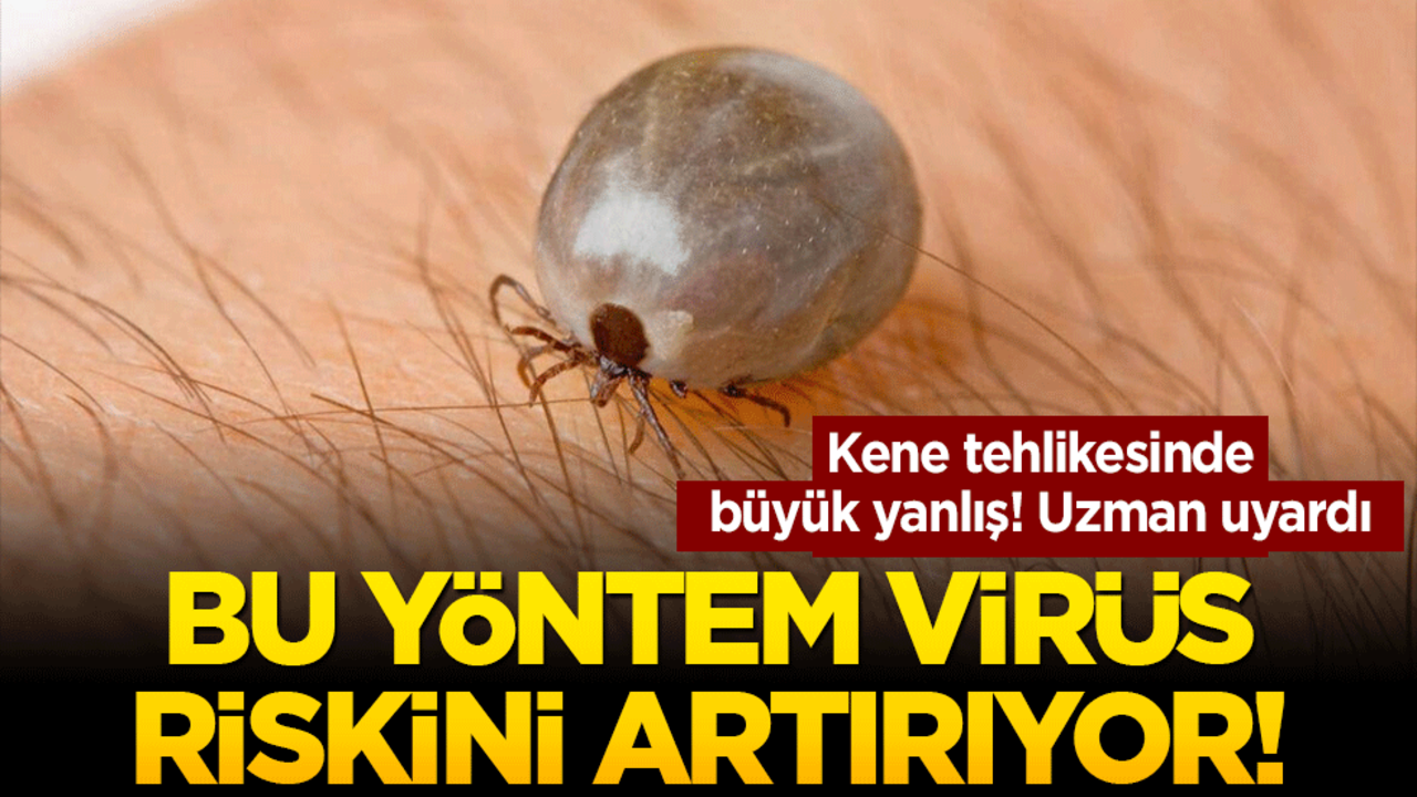 Kene tehlikesinde büyük yanlış! Uzman uyardı: Bu yöntem virüs riskini artırıyor!
