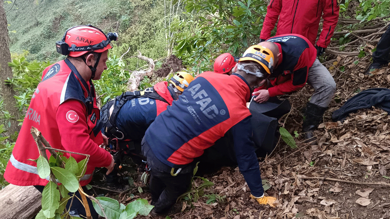 Kestiği ağacın altında kalan muhtar öldü