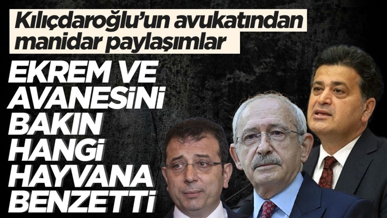 Kılıçdaroğlu’nun avukatından manidar paylaşımlar! İmamoğlu ve avanesini bakın hangi hayvana benzetti