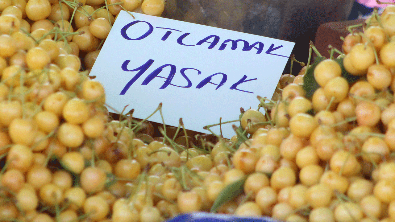 Kiraz festivalindeki terbiyesizlik büyük tepki çekti