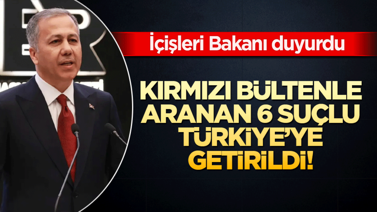 Kırmızı bültenle aranan 6 suçlu Türkiye’ye getirildi! İçişleri Bakanı duyurdu