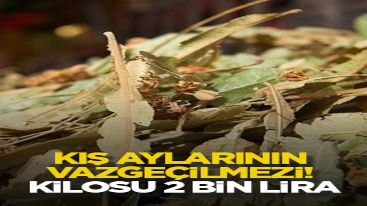 Kış aylarının vazgeçilmezi! Kilosu 2 bin lira