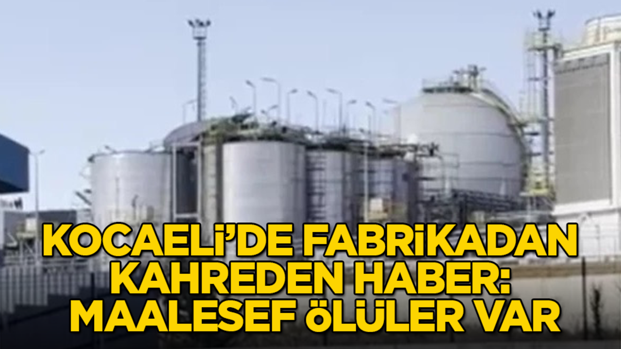 Kocaeli’de fabrikadan kahreden haber: Maalesef ölenler var