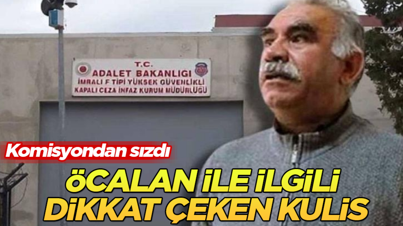 Komisyondan sızdı! Abdullah Öcalan ile ilgili dikkat çeken kulis