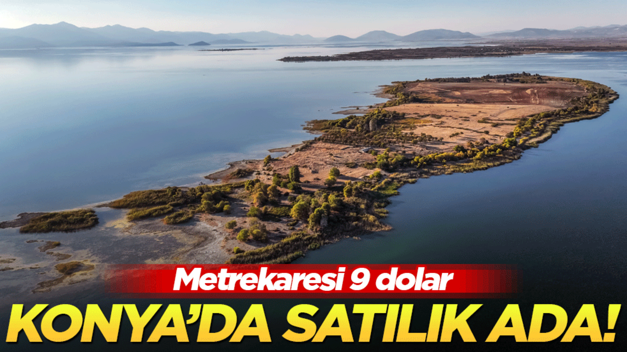Konya'da satılık ada! Metrekaresi 9 dolar