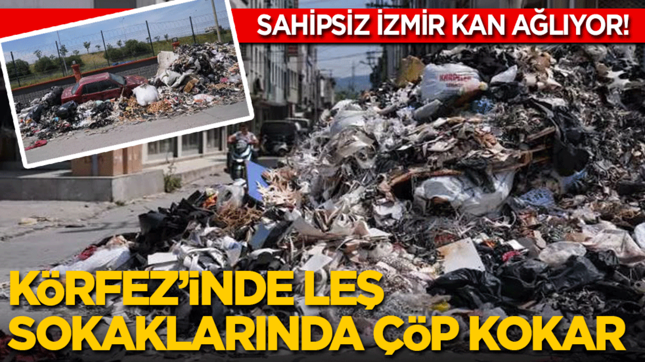 Körfez’inde leş sokaklarında çöp kokar: Sahipsiz İzmir kan ağlıyor!