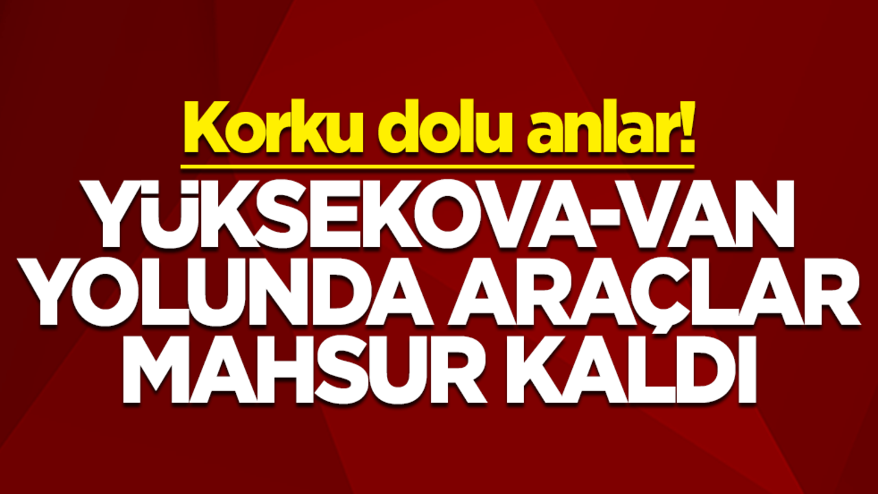 Korku dolu anlar! Yüksekova-Van yolunda heyelan: Araçlar mahsur kaldı