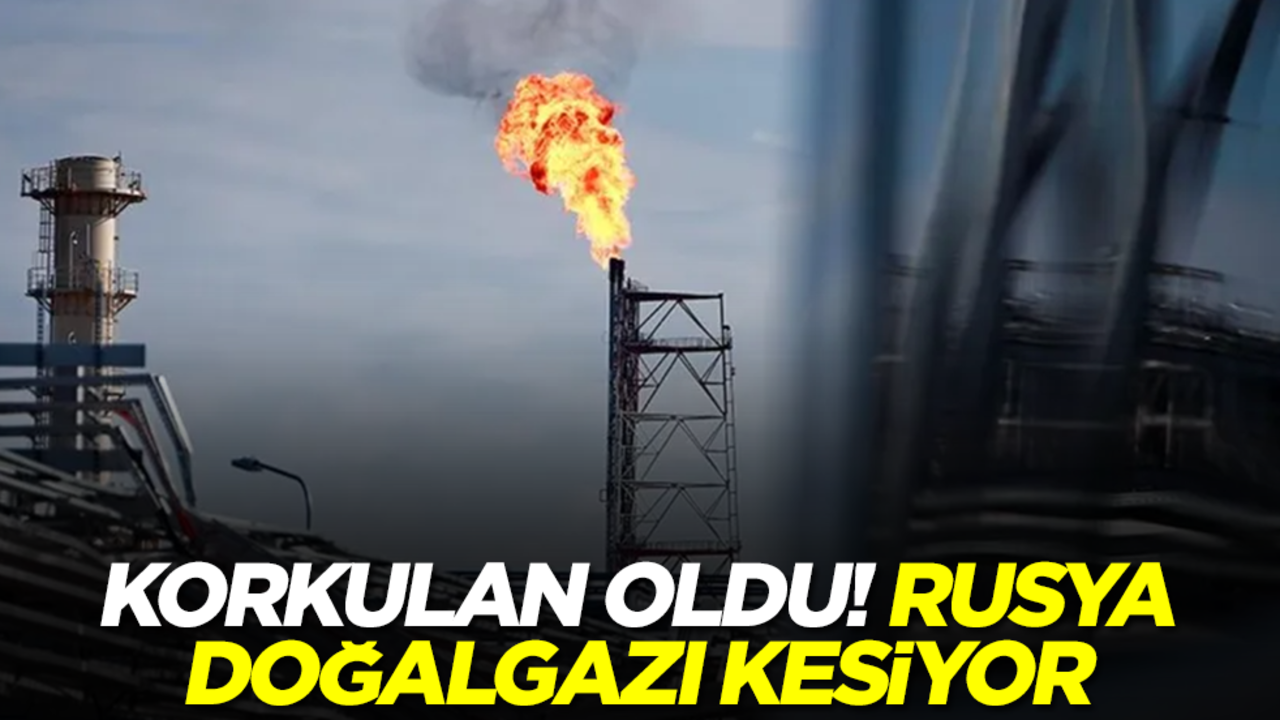 Korkulan oldu! Rusya doğalgazı kesiyor