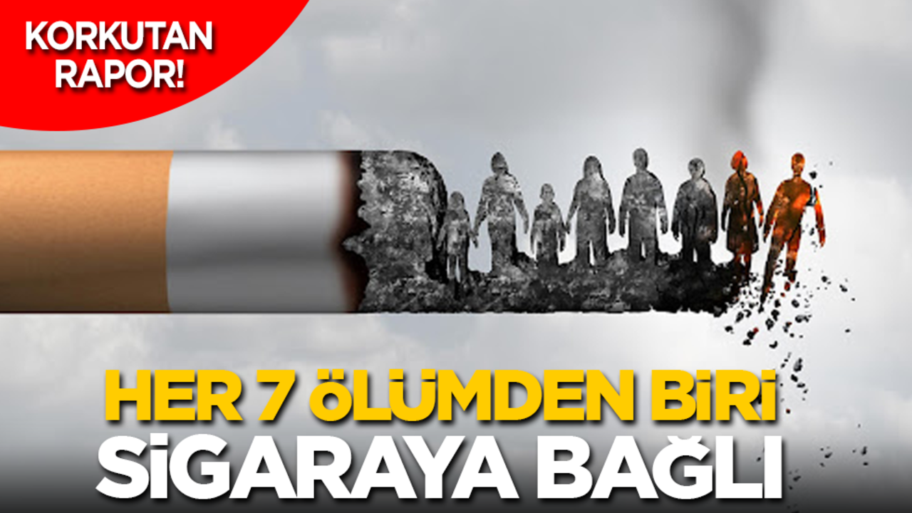 Korkutan Rapor! Her 7 ölümden biri sigaraya bağlı
