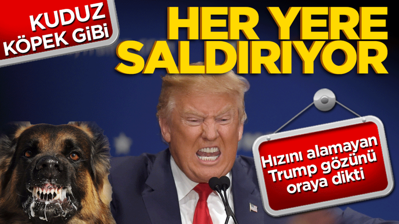 Kuduz köpek gibi her yere saldırıyor! Hızını alamayan Trump gözünü oraya dikti