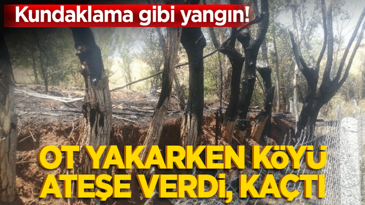 Kundaklama gibi yangın! Ot yakarken köyü ateşe verdi, kaçtı