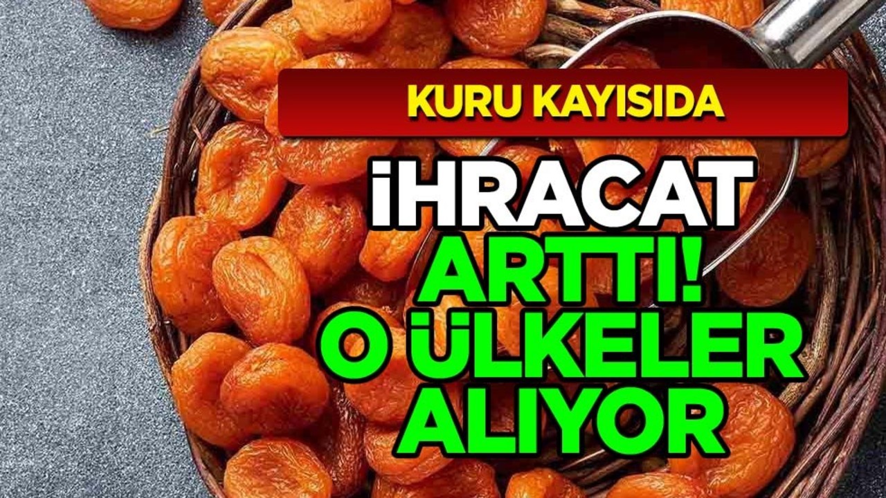 Kuru kayısı ihracatı: İlk çeyreğinde artış sağlandı!