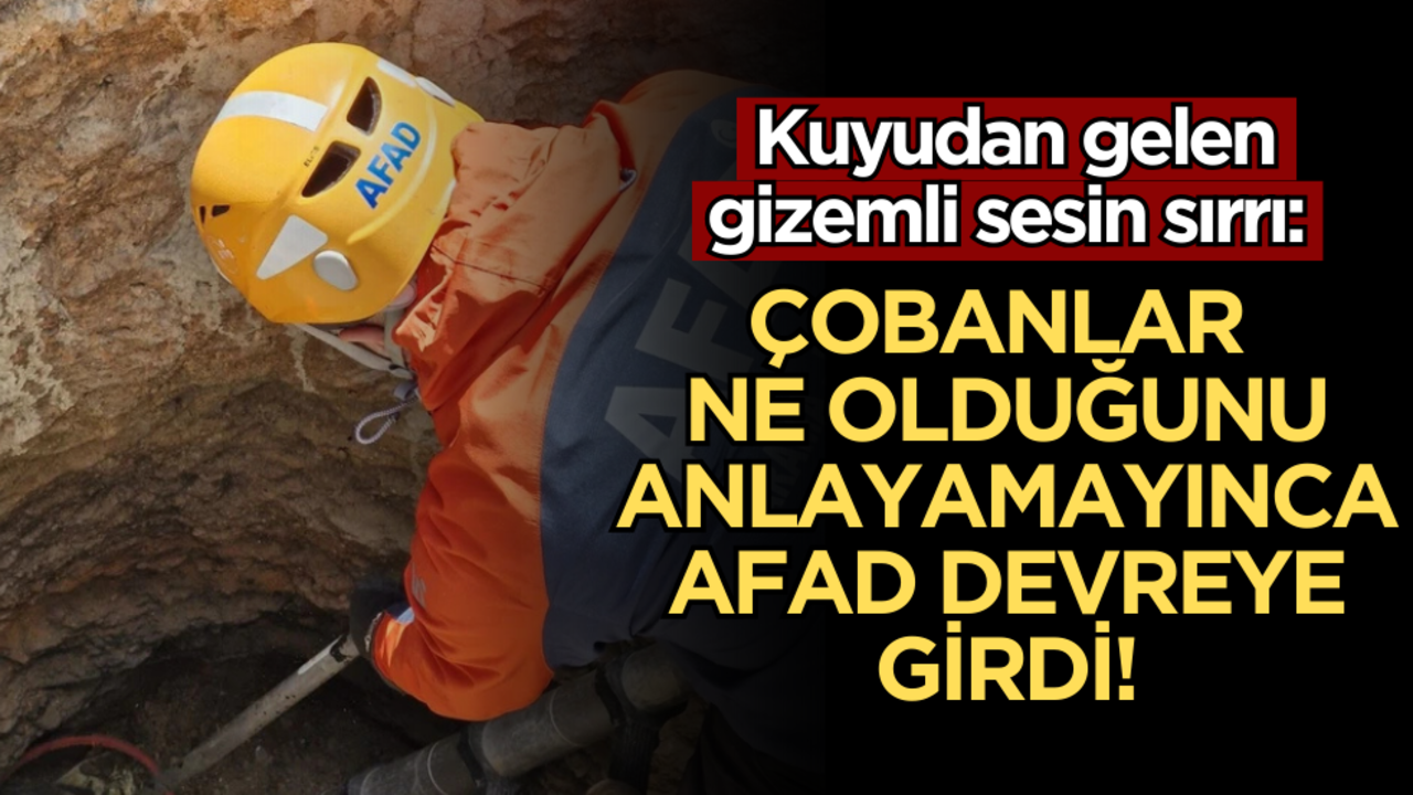 Kuyudan gelen gizemli sesin sırrı: Çobanlar ne olduğunu anlayamayınca AFAD devreye girdi!