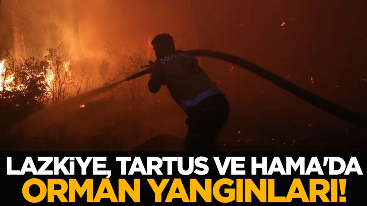 Lazkiye, Tartus ve Hama'da orman yangınları!