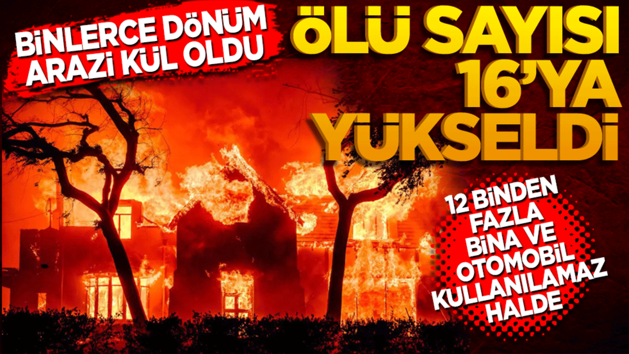 Los Angeles'taki yangınlarda ölü sayısı 16'ya yükseldi! Binlerce dönüm arazi kül oldu